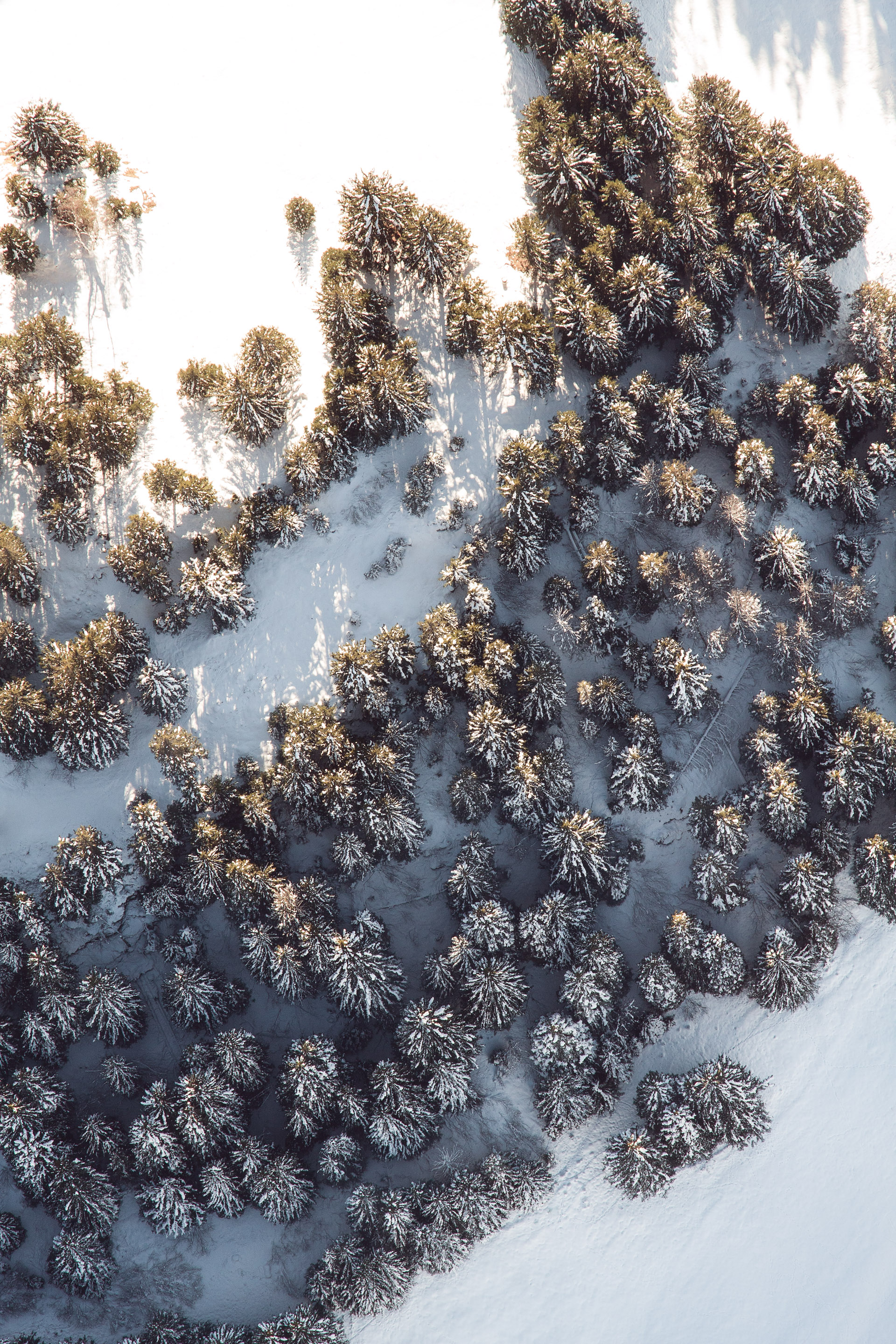 Schweiz - Ballonfahrt durch Graubünden — Frame 2