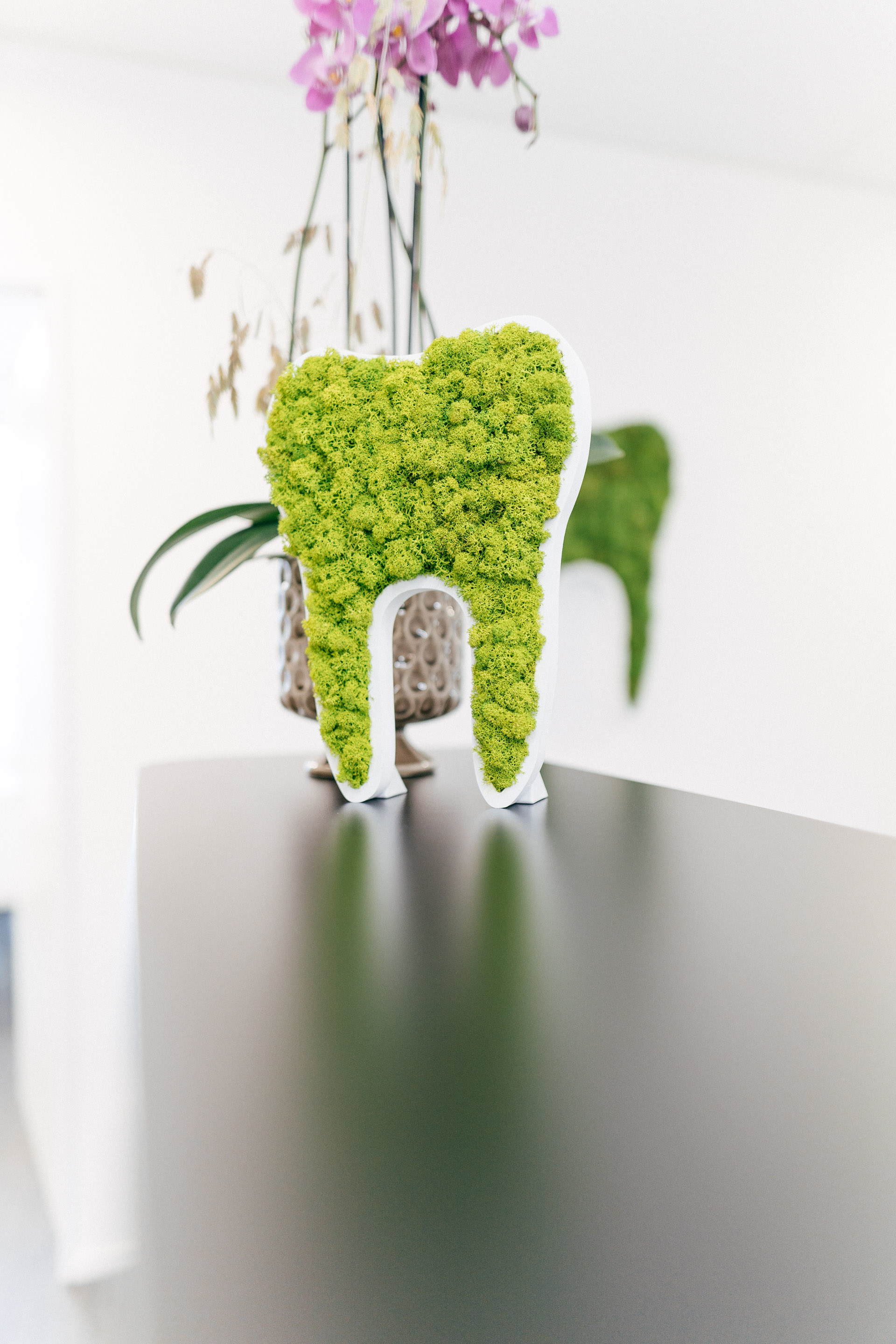 Eröffnung Zahnarztpraxis Schumacher in Malters — Frame 92